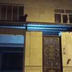 خدمات فنی و تاسیسات امیر
